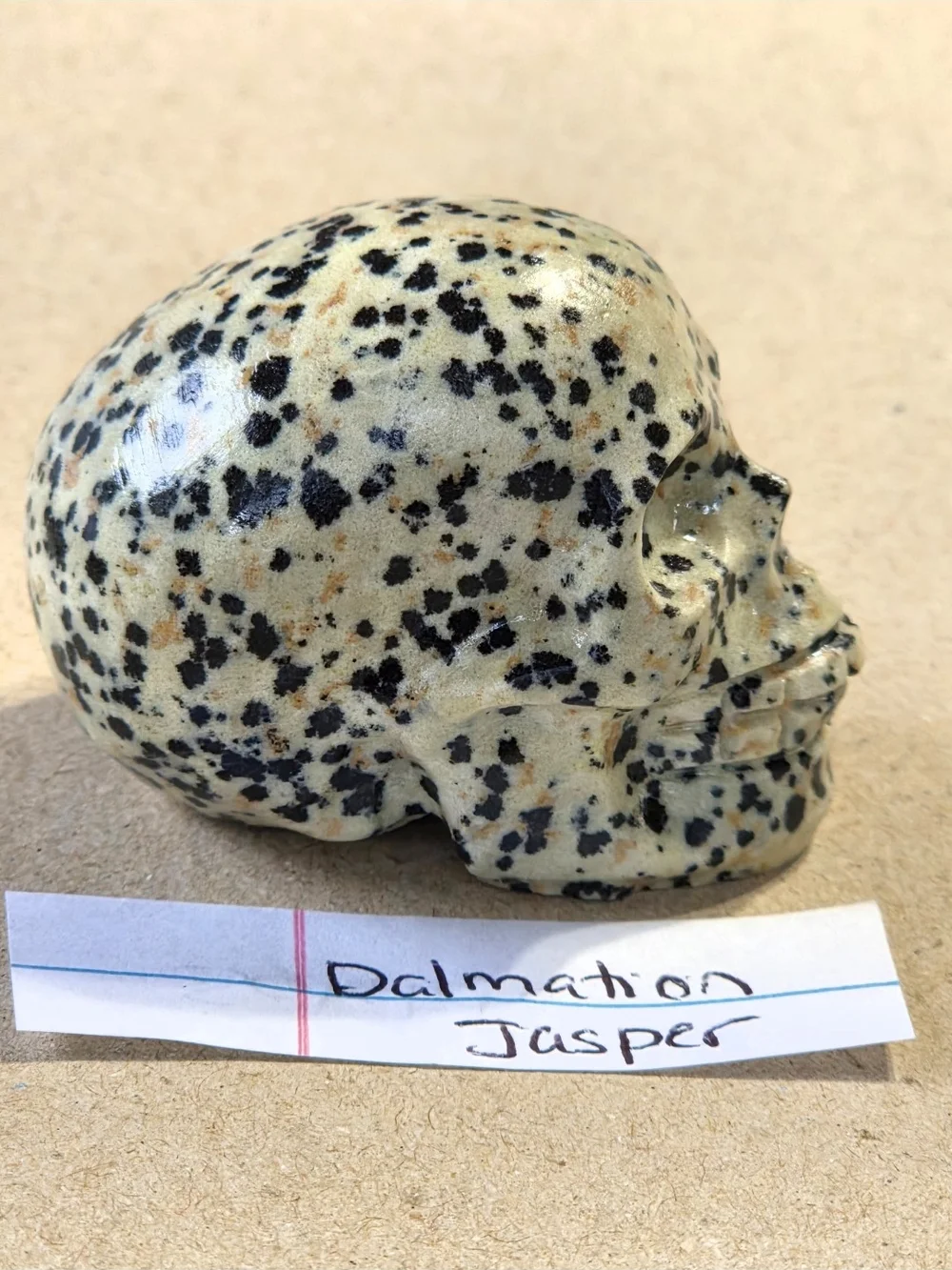Detailed Dalmatian Jasper Crystal Carved Skull Stone Sculpture Decor